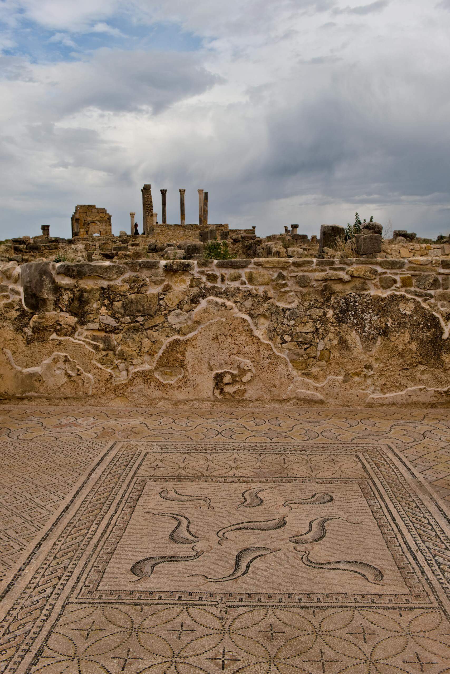Explore the ancient ruins and intricate mosaics in Volubilis, Morocco's historic site.